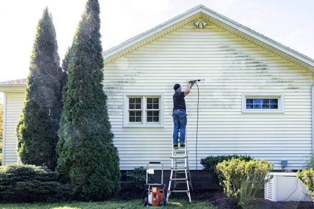 Best Best Pressure Washing Companies  in Hemphill, TX